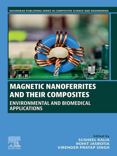 Magnetic Nanoferrites and their Composites - 