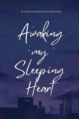 Awaking my Sleeping Heart - Kirby Maze