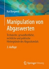 Manipulation von Abgaswerten - Kai Borgeest