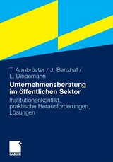 Unternehmensberatung im &ouml;ffentlichen Sektor - Thomas Armbr&uuml;ster, Johannes Banzhaf, Lars Dingemann