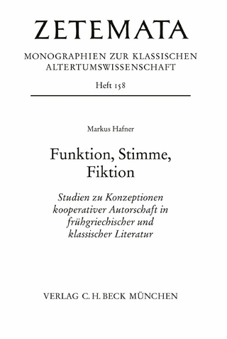 Funktion, Stimme, Fiktion