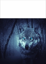 Unsere Zukunft -  karl glanz