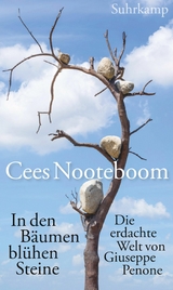 In den B&auml;umen bl&uuml;hen Steine -  Cees Nooteboom
