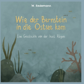 Wie der Bernstein in die Ostsee kam