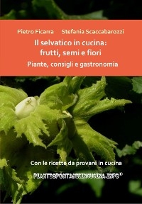 Il selvatico in cucina: frutti, semi e fiori. Piante, consigli e gastronomia.