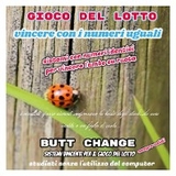 Gioco del lotto: vincere con i numeri uguali - butt change by mat marlin