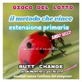 Gioco del lotto: il Metodo Che Vince: Estensione Primaria [Mat Marlin] - butt change by mat marlin