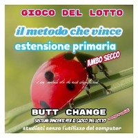 Gioco del lotto: il Metodo Che Vince: Estensione Primaria [Mat Marlin] - butt change by mat marlin