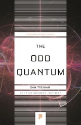 Odd Quantum -  Sam Treiman