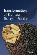 Transformation of Biomass - Andreas Hornung