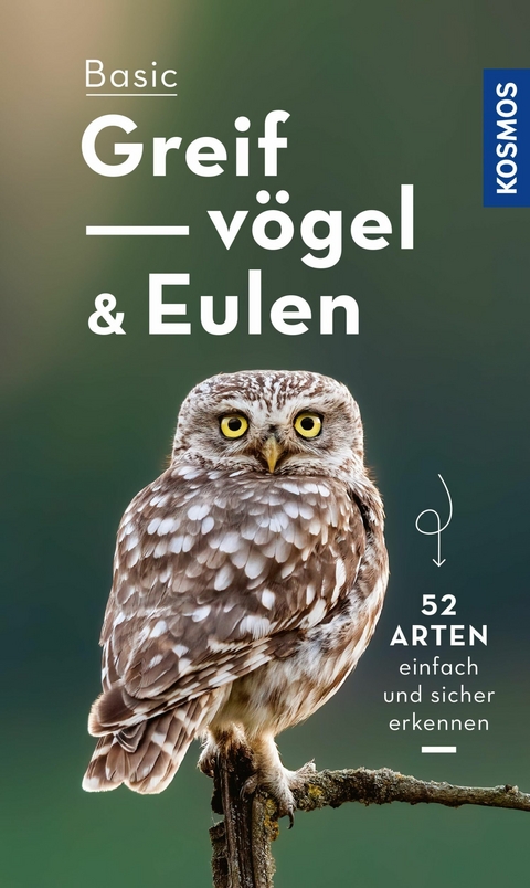 Basic Eulen Greifv&ouml;gel - Volker Dierschke