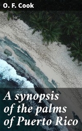 A synopsis of the palms of Puerto Rico - O. F. Cook