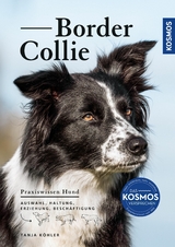 Border Collie - Tanja K&ouml;hler