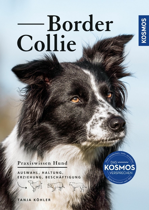 Border Collie - Tanja K&ouml;hler