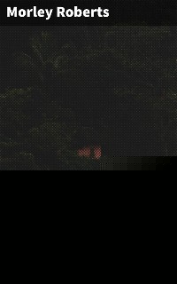 The private life of Henry Maitland: A record dictated by J. H - Morley Roberts