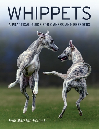Whippets