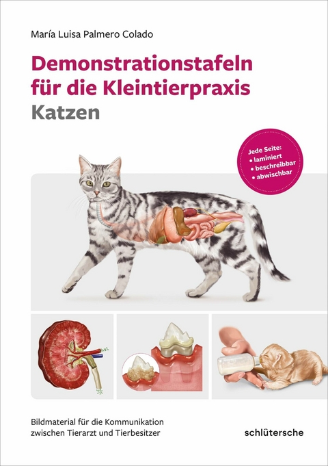 Demonstrationstafeln f&uuml;r die Kleintierpraxis Katzen - Mar&iacute;a Luisa Palmero Colado