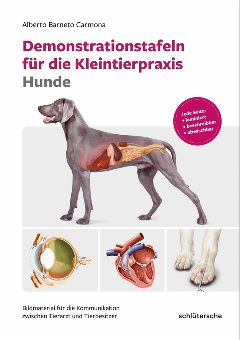 Demonstrationstafeln f&uuml;r die Kleintierpraxis Hunde - Alberto Barneto Carmona