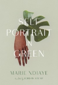 Self-Portrait in Green - Marie Ndiaye