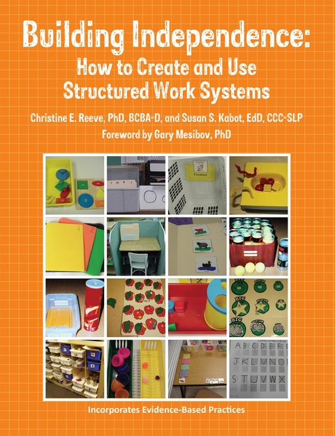 Building Independence -  Christine E. Reeve,  Susan Kabot