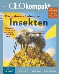 GEO kompakt 62/2020 - Das geheime Leben der Insekten - GEO kompakt Redaktion