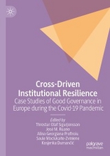 Cross-Driven Institutional Resilience - 