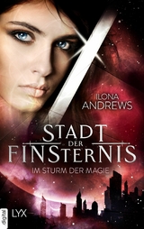 Stadt der Finsternis - Im Sturm der Magie - Ilona Andrews