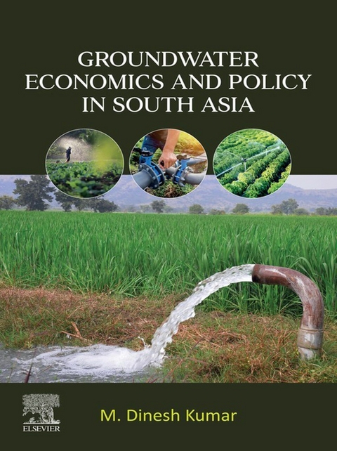 Groundwater Economics and Policy in South Asia -  M. Dinesh Kumar