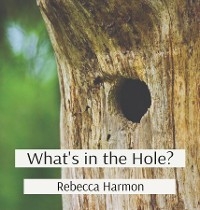 What's in the Hole? - Rebecca Harmon