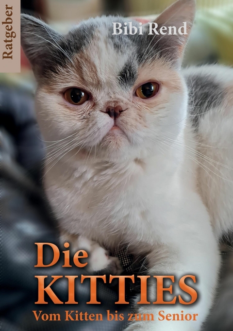 Die Kitties -  Bibi Rend