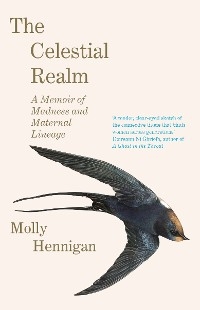 The Celestial Realm: SHORTLISTED FOR THE SUNDAY INDEPENDENT NEWCOMER OF THE YEAR IRISH BOOK AWARDS - Molly Hennigan