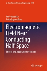 Electromagnetic Field Near Conducting Half-Space -  Yuriy Vasetsky,  Artur Zaporozhets