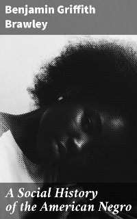 A Social History of the American Negro