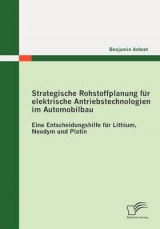 Strategische Rohstoffplanung f&uuml;r elektrische Antriebstechnologien im Automobilbau: Eine Entscheidungshilfe f&uuml;r Lithium, Neodym und Platin - Benjamin Achzet