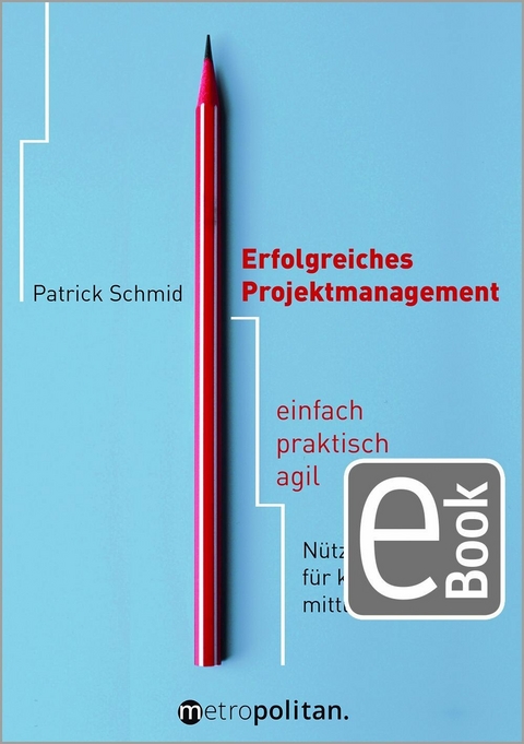 Erfolgreiches Projektmanagement - Patrick Schmid