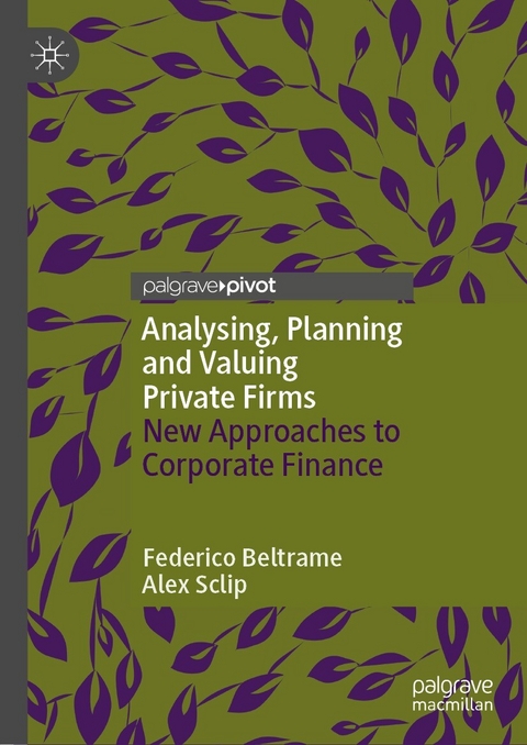 Analysing, Planning and Valuing Private Firms - Federico Beltrame, Alex Sclip