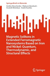 Magnetic Solitons in Extended Ferromagnetic Nanosystems Based on Iron and Nickel: Quantum, Thermodynamic, and Structural Effects - Andriy Shevchenko, Maksym Barabash, Anatolii Minitskyi, Andrii Kushko