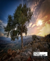 Neue Weltordnung 2 Juli 2023 - Eduard Wagner