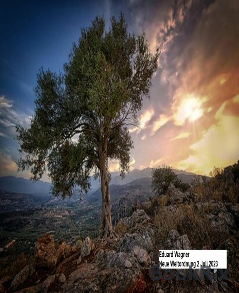 Neue Weltordnung 2 Juli 2023 - Eduard Wagner