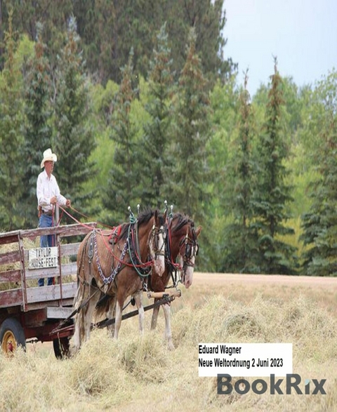 Neue Weltordnung 2 Juni 2023 - Eduard Wagner