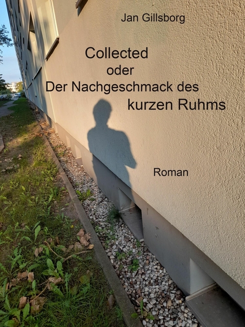 Collected oder Der Nachgeschmack des kurzen Ruhms -  Jan Gillsborg