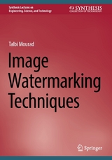 Image Watermarking Techniques -  Talbi Mourad