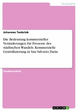 Die Bedeutung kommerzieller Ver&auml;nderungen f&uuml;r Prozesse des st&auml;dtischen Wandels. Kommerzielle Gentrifizierung in San Salvario, Turin - Johannes Tenbrink