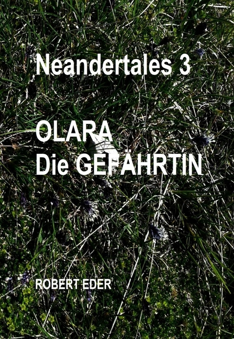 Neandertales 3 -  Robert Eder