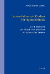 Lernverhalten von Kindern mit Hydrocephalus -  Antje Blume-Werry
