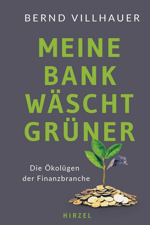 Meine Bank w&auml;scht gr&uuml;ner - Bernd Villhauer