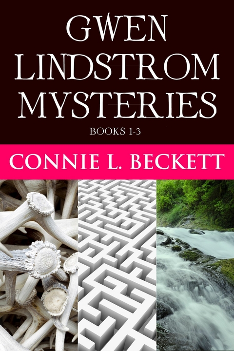 Gwen Lindstrom Mysteries - Books 1-3 -  Connie L. Beckett