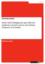 Policy brief. Bridging the gap. Effective pathways towards netzero and climate resilience in Germany - Christian Hackel