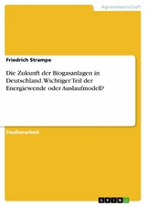 Die Zukunft der Biogasanlagen in Deutschland. Wichtiger Teil der Energiewende oder Auslaufmodell? -  Friedrich Strampe