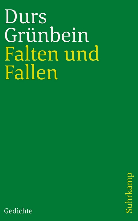 Falten und Fallen - Durs Gr&uuml;nbein